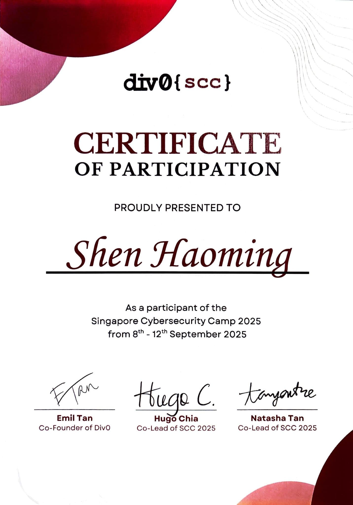 Singapore Cybersecurity Camp